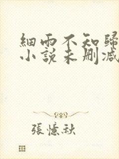 细雨不知归原著小说未删减版