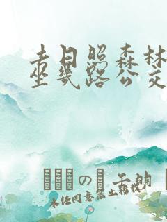 去日照森林公园坐几路公交车