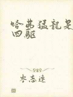 哈弗猛龙是全时四驱