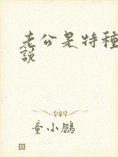 老公是特种兵小说