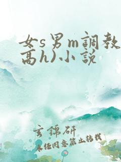 女s男m调教(高h)小说 女s男m调教(高h)小说