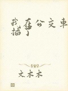 我在公交车上被插了