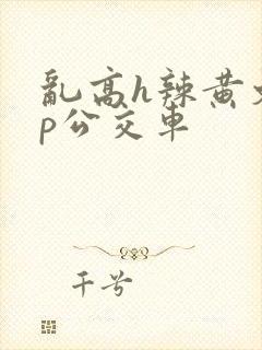 乱高h辣黄文np公交车