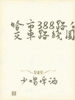 哈市388路公交车路线图
