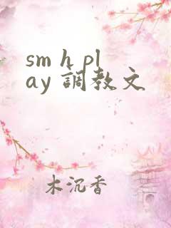 sm h play 调教文