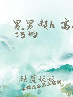 男男超h 高h 污肉