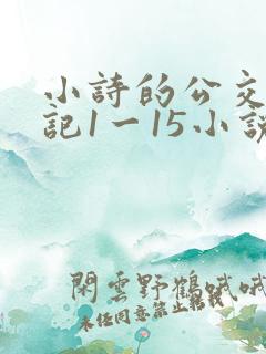 小诗的公交车日记1一15小说