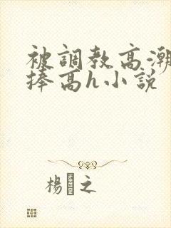 被调教高潮震动捧高h小说