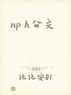 np h公交