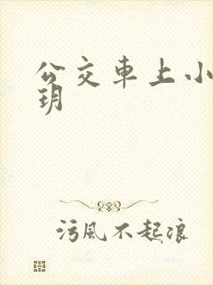 公交车上小说苏玥