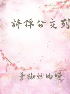 诗锦公交列车