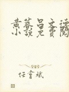 黄蓉吕文德父子小说免费阅读