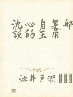 沈心月是哪部小说的主角