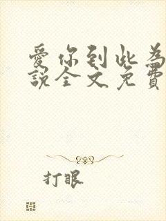 爱你到此为止小说全文免费阅读 爱你到此为止小说全文免费阅读