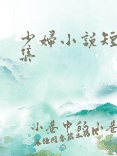 少妇小说短篇合集