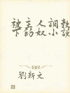 被主人调教成脚下的奴小说全文阅读