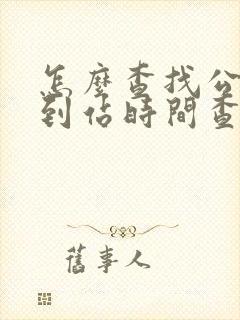 怎么查找公交车到站时间查询