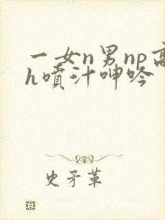 一女n男np高h喷汁呻吟