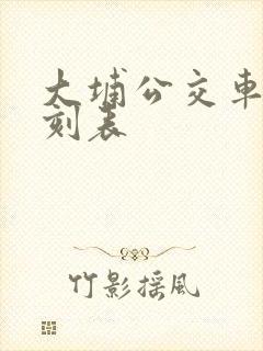 大埔公交车站时刻表