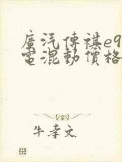 广汽传祺e9插电混动价格