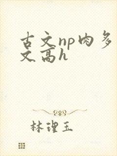 古文np肉多荤文高h