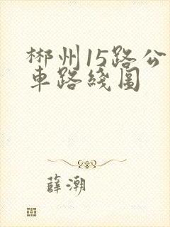 郴州15路公交车路线图