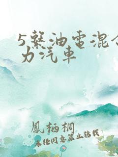 5系油电混合动力汽车 5系油电混合动力汽车