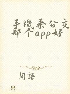 手机乘公交地铁哪个app好