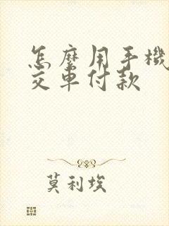怎么用手机坐公交车付款
