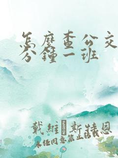 怎么查公交车几分钟一班