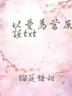 以爱为营原著小说txt