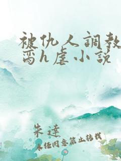 被仇人调教成禁脔h虐小说