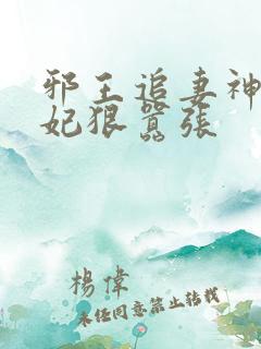 邪王追妻神医狂妃狠嚣张