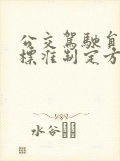 公交驾驶员工资标准制定方案