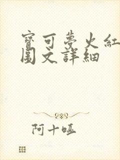 宝可梦火红攻略图文详细