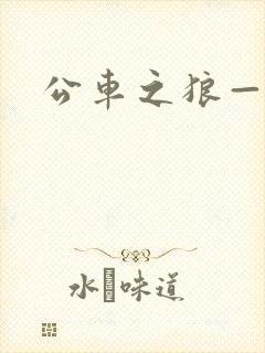 公车之狼—诗晴