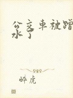 公交车被蹭的流水了