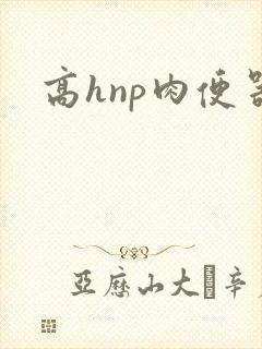 高hnp肉便器
