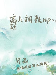 高h调教np小说