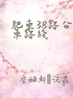 肥东38路公交车路线 肥东38路公交车路线