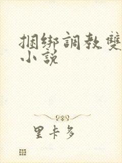 捆绑调教双性的小说