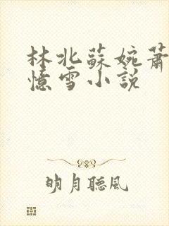 林北苏婉萧晴韩忆雪小说