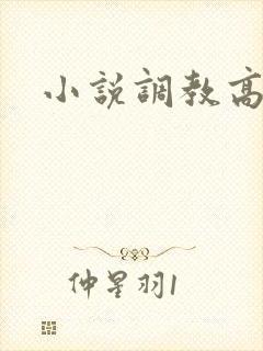 小说调教高h