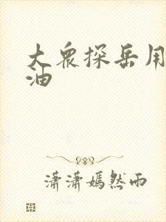 大众探岳用几号油