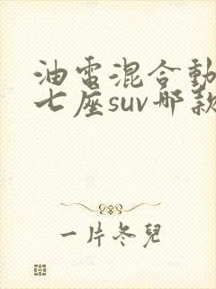 油电混合动力车七座suv哪款最好