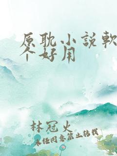 原耽小说软件哪个好用