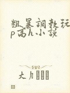粗暴调教玩弄np高h小说