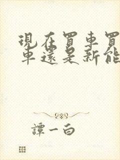 现在买车买燃油车还是新能源车好