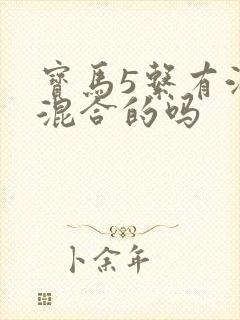 宝马5系有油电混合的吗