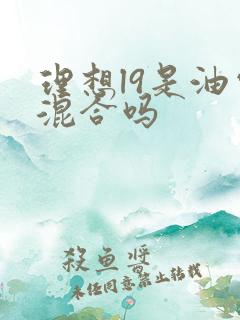理想l9是油电混合吗